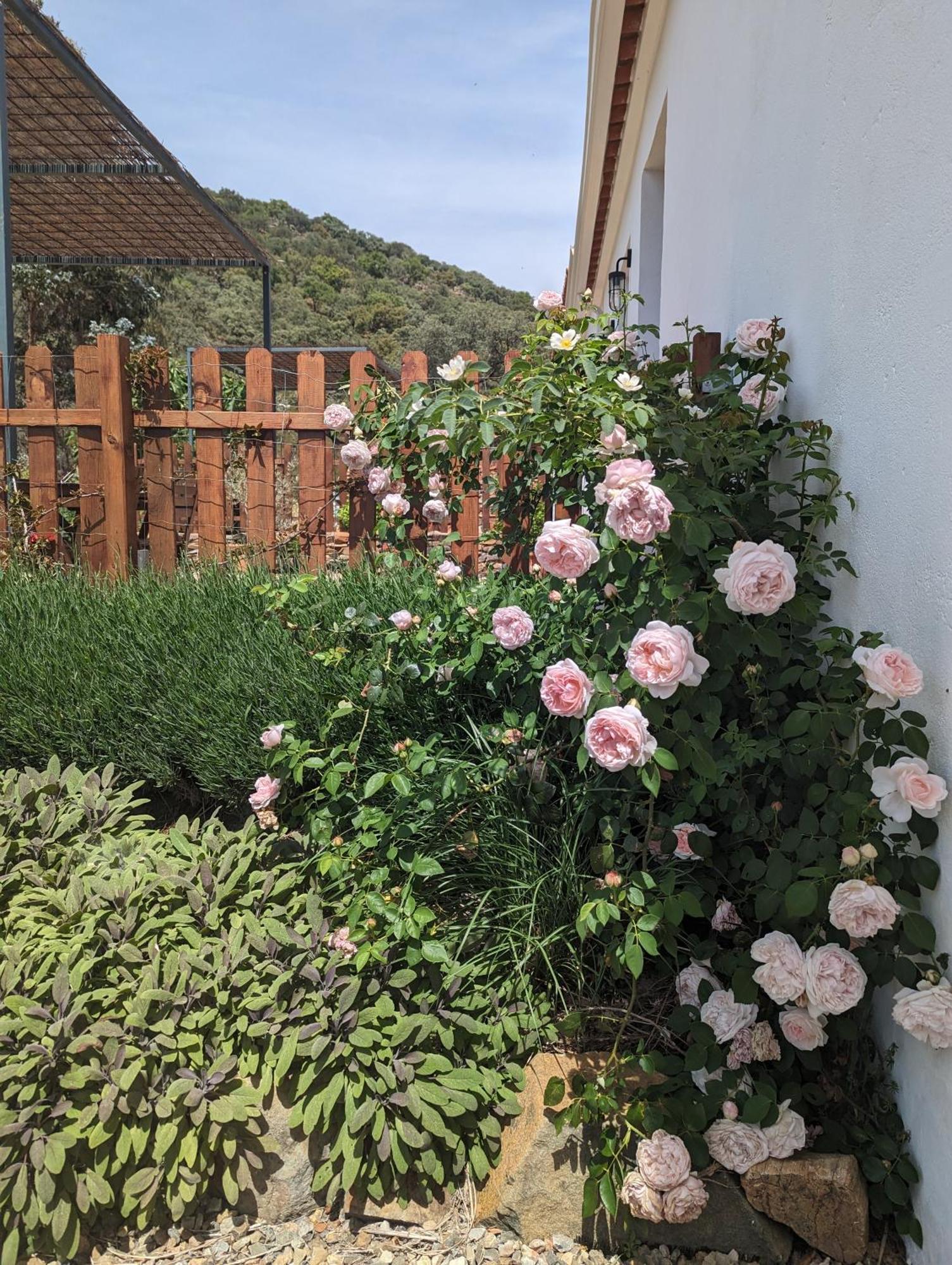Finca Bravo Cortegana Kültér fotó