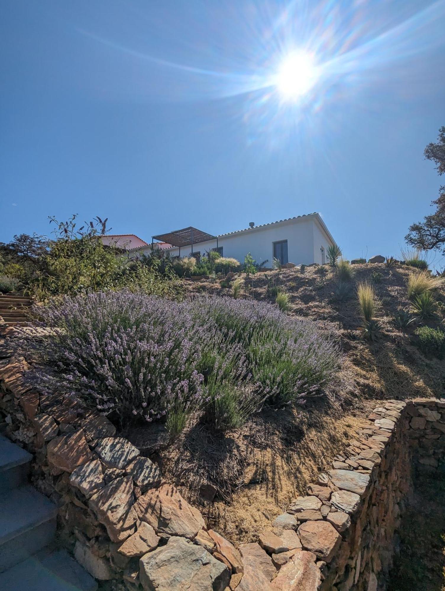 Finca Bravo Cortegana Kültér fotó